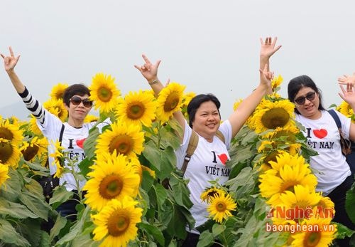 Đoàn khách Thái Lan đầu tiên đến với cánh đồng hoa hướng dương