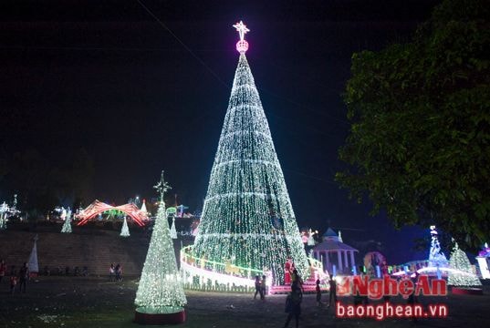 Cây thông cao bằng tòa nhà 10 tầng đón giáng sinh ở Trại Gáo