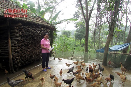 Nhiều mô hình kinh tế tiêu biểu của giáo dân huyện Tân Kỳ