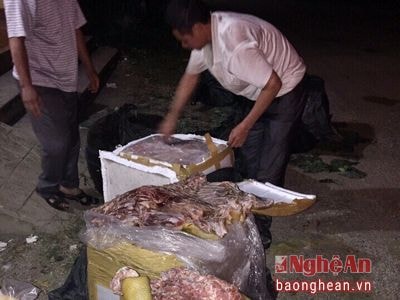 Vận chuyển 700 kg thịt hôi thối từ Nam Định vào Sài Gòn tiêu thụ
