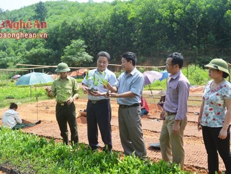 Trên 75 tỷ đồng chi trả dịch vụ môi trường rừng trong năm 2016