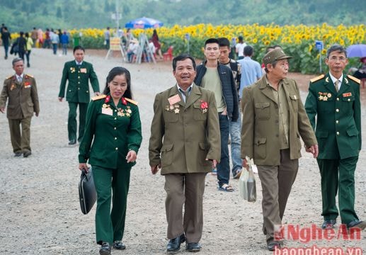 Những vị khách đặc biệt của cánh đồng hoa hướng dương