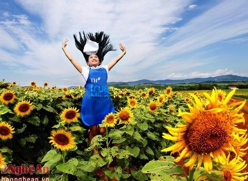 10 tác giả được trao giải cuộc thi Ảnh đẹp hoa hướng dương