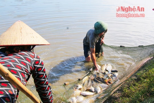 Nghệ An: Công bố sự kiện Khoa học công nghệ nổi bật năm 2016