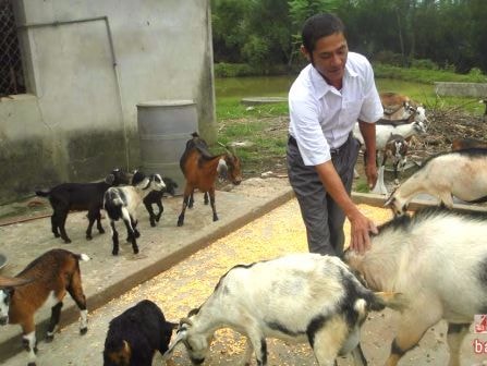 Đột phá trong xây dựng NTM ở Nghi Lộc