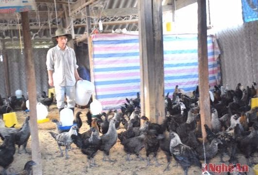 Nông dân chuẩn bị thực phẩm phục vụ Tết