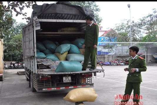 Bắt giữ 1,1 tấn hạt bí không rõ nguồn gốc