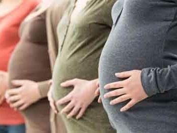 Hàng loạt phụ nữ Hà Lan bị bơm nhầm tinh trùng