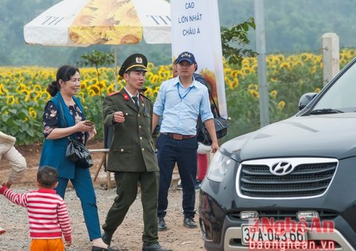 Những người thầm lặng trên cánh đồng hoa mặt trời