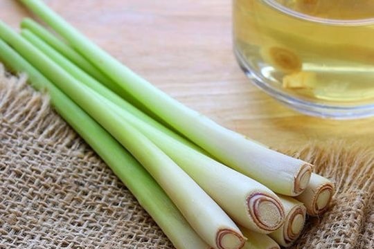 7 thảo dược đánh bại cảm lạnh