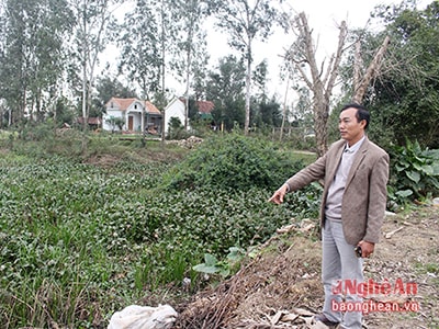 Quỹ đất 5% do xã quản lý chỉ được thuê dưới 5 năm