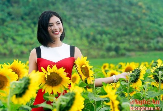 Đào Thị Hà khoe sắc trên cánh đồng hoa hướng dương