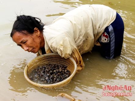 Dầm mình mò ốc ngày giá rét