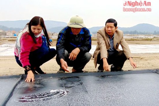 Diêm dân Nghệ An trải bạt sản xuất muối sạch, hiệu quả vượt trội