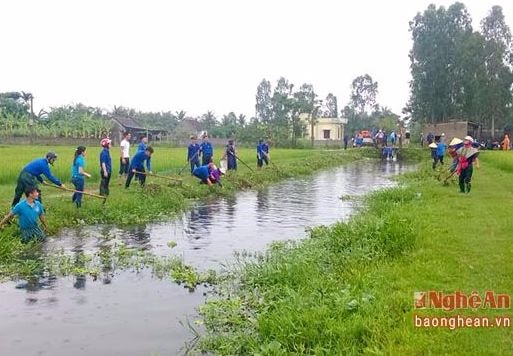 Diễn Châu hoàn thành làm thủy lợi vượt 200% chỉ tiêu