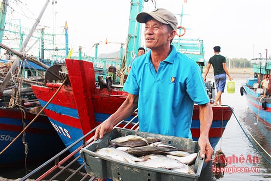 Ngư dân trúng lộc biển đầu năm mới