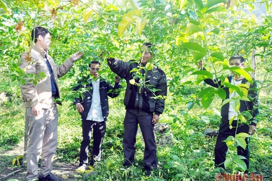 Con đường khai phá chốn thâm sơn