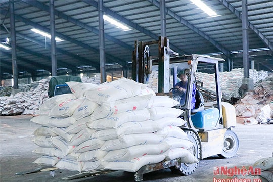 Tổng công ty CP Vật tư nông nghiệp Nghệ An ra quân sản xuất đầu năm