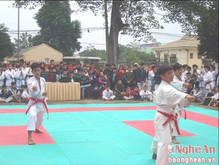 Thái Hòa: 350 vận động viên tham gia giải karatedo mở rộng năm 2017