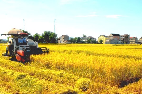 Phát huy đoàn kết tạo động lực để phát triển