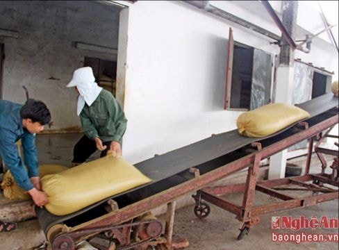 Công ty TNHH Kim Ngọc Năm đầu tư dây chuyền 6 tỷ đồng chế biến bột cá