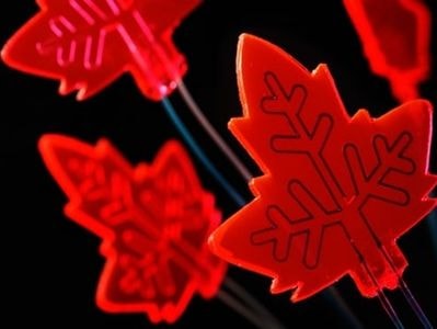 Lá nhân tạo sử dụng ánh sáng Mặt Trời để tạo thuốc