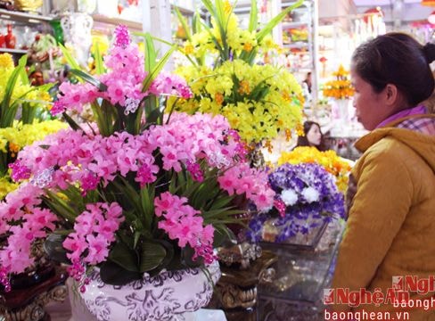 Sôi động thị trường hoa Tết