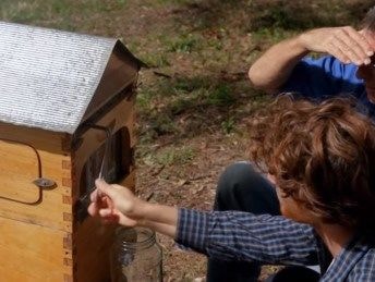 Phát minh thiên tài giúp lấy mật ong mà không cần dỡ tổ