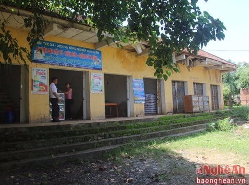 Tân Kỳ: 60% hợp tác xã đang...thoi thóp!