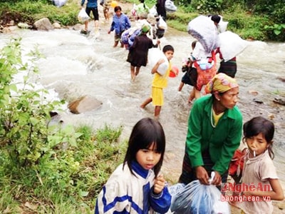 Nhân lên những mùa đông ấm