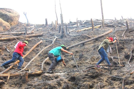 Đóng góp của đội ngũ cộng tác viên cho sự lớn mạnh của tờ báo Đảng