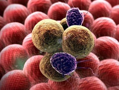 Phát hiện phương pháp 'vô hiệu hóa' sự lan rộng tế bào ung thư