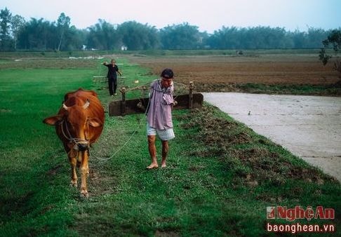 Ngày thường của 'cánh chim cụt biết bay' Hoa Xuân Tứ