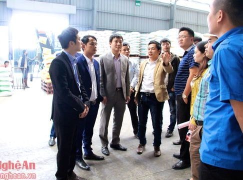 Tỉnh đoàn Nghệ An hỗ trợ thanh niên xây dựng mô hình phát triển kinh tế