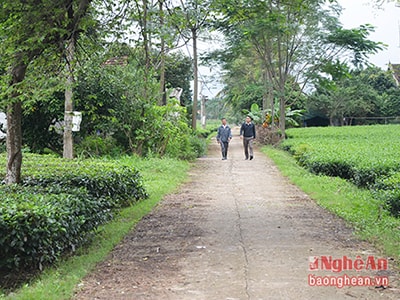 Đỉnh Sơn: Khơi dậy sức dân, tạo sức đột phá toàn diện