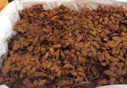 Mứt Tết nhập khẩu lũ lượt về theo đường xách tay