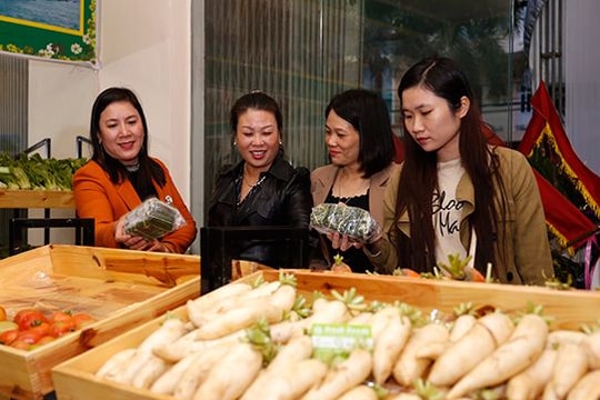 Thực phẩm an toàn Fresh Foods - địa chỉ tin cậy của bà nội trợ