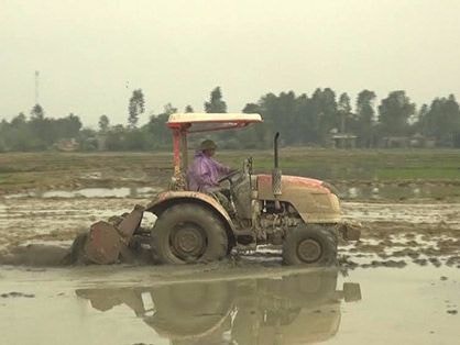 Nghi Lộc: Hỗ trợ ni lông và giá giống lúa lai cho sản xuất vụ Xuân