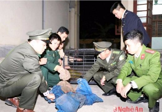 Bắt giữ xe khách chở động vật hoang dã từ Lào về Nghệ An