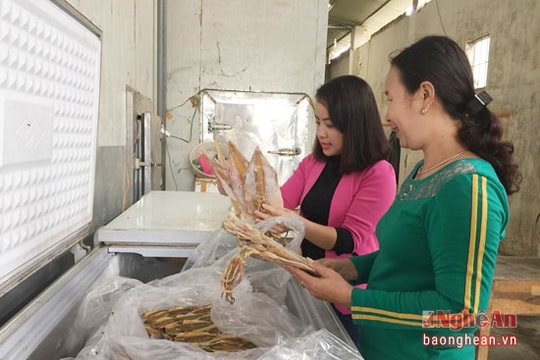 Phong phú mặt hàng hải sản phục vụ Tết