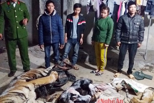 Phát hiện 2 cá thể hổ nặng 300kg trong tủ cấp đông