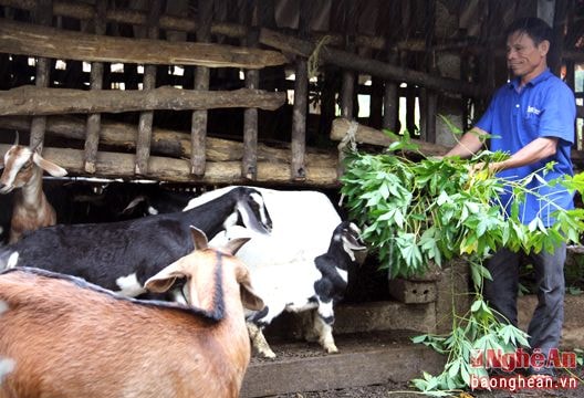 Cựu quân nhân 2 lần lập nghiệp trang trại để làm giàu