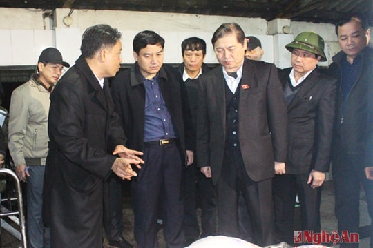 Bí thư Tỉnh ủy Nghệ An và đoàn giám sát Quốc hội kiểm tra lò mổ lúc nửa đêm