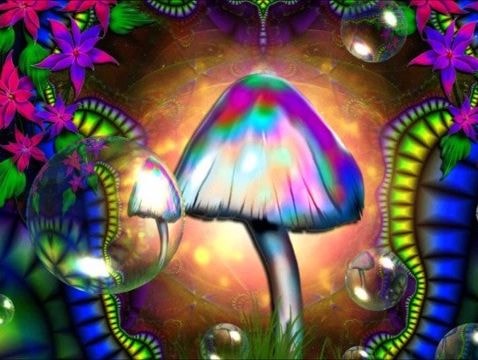 Nấm ảo giác tác động đến cơ thể bạn như thế nào?