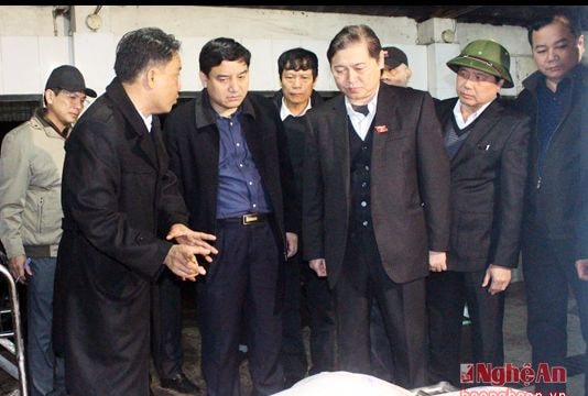 Nghệ An cần tiếp tục xây dựng chuỗi sản xuất khép kín, an toàn