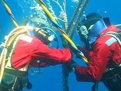 Hết Tết Đinh Dậu, tốc độ internet mới trở lại như cũ