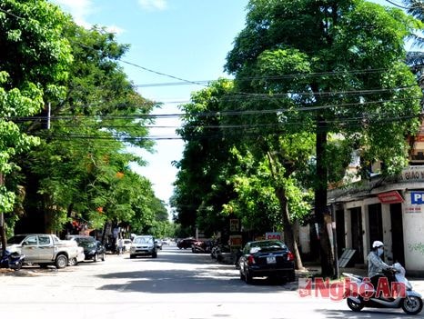 Thành phố Vinh sẽ cấm đậu xe đường Nguyễn Đức Cảnh