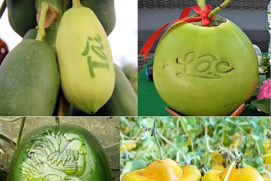 Nhiều loại quả ý nghĩa đón Tết