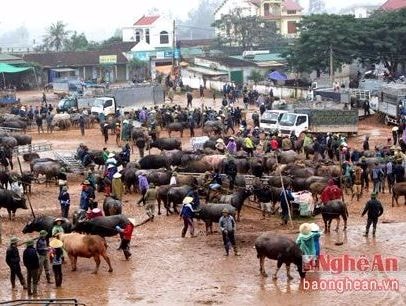 Nhộn nhịp phiên chợ Ú ngày cận Tết