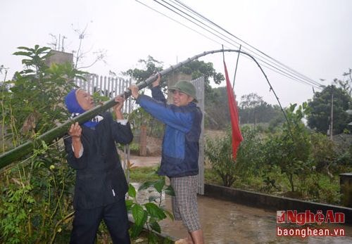 Tục dựng cây nêu, cột đèn tiễn ông Táo về trời ở xứ Nghệ